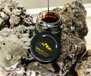 Shilagems Pure Shilajit Resin 100 Gram